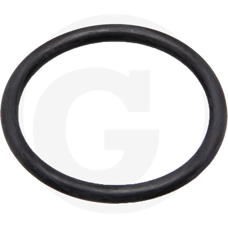 Oring 67160049