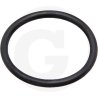 Oring 67160049