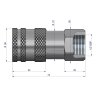 Szybkozłącze hydrauliczne suchoodcinające (rozmiar 3/8) gniazdo G1/2"BSP gwint wewnętrzny ISO16028 Waryński