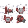 POMPA WODY KOŁO NA I PASEK MASSEY FERGUSON URSUS ORYGINAŁ 41312874U MF3