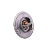 TERMOSTAT MF MASSEY FERGUSON URSUS ORYGINAŁ 2485C022U 102852 MF-3 MF255