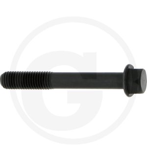 Śruba głowicy cylindra 5863002930