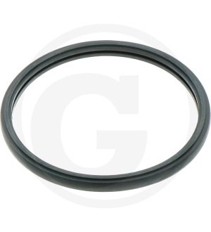 Uszczelka termostatu 8981145870