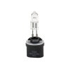 Żarówka AA.H885 PG13 Case,187110A1, 44995162 12V 50W PG13 TEGER