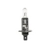 Żarówka H1 24V 70W P14.5s TEGER ( sprzedawane po 10 szt)
