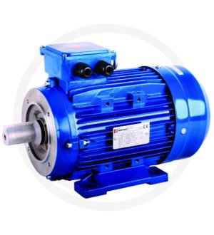 Silnik elektryczny 71-4-B34A-2/4-0,37 IE