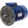Silnik elektryczny 100-4-B3/5-2/4-2,2 IE