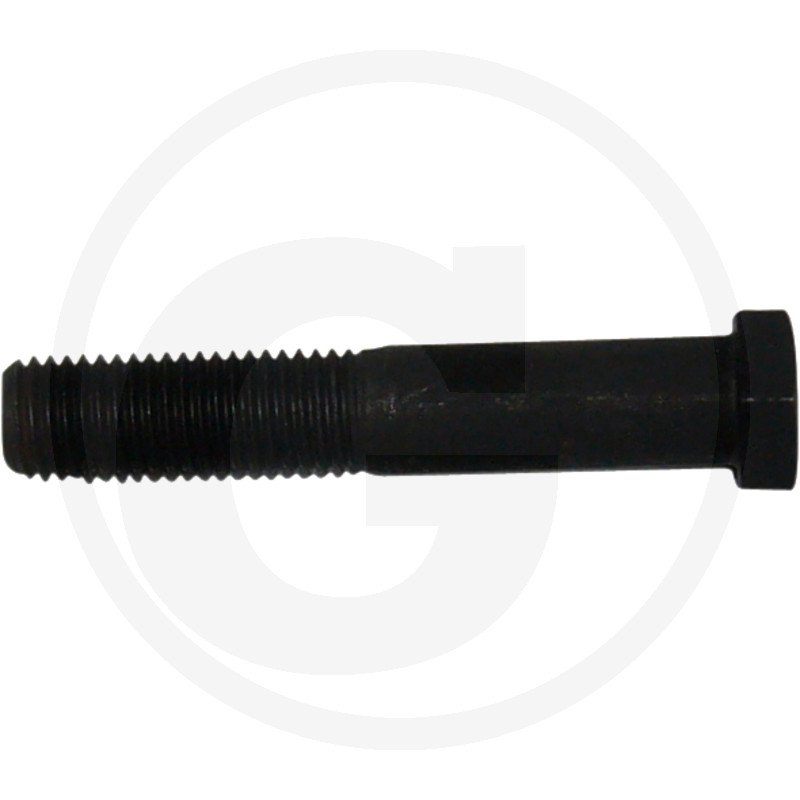 Śruba regulacyjna sprzęgła II 50.51.138.1 /50511381