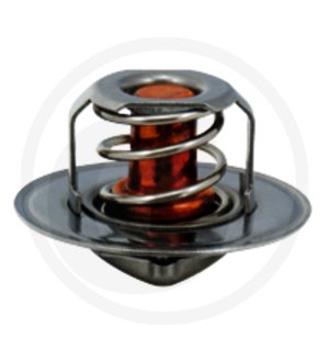 Termostat 2485 C 022