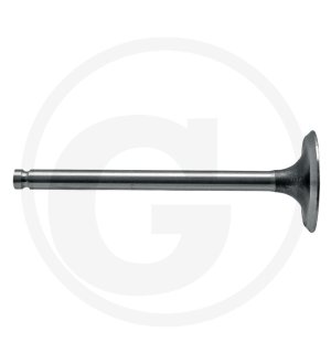 Zawór ssący 3143 1681