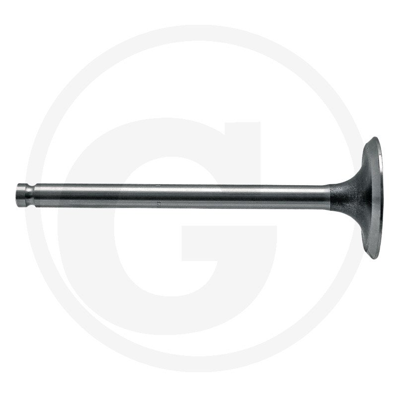 Zawór ssący 3143 1681