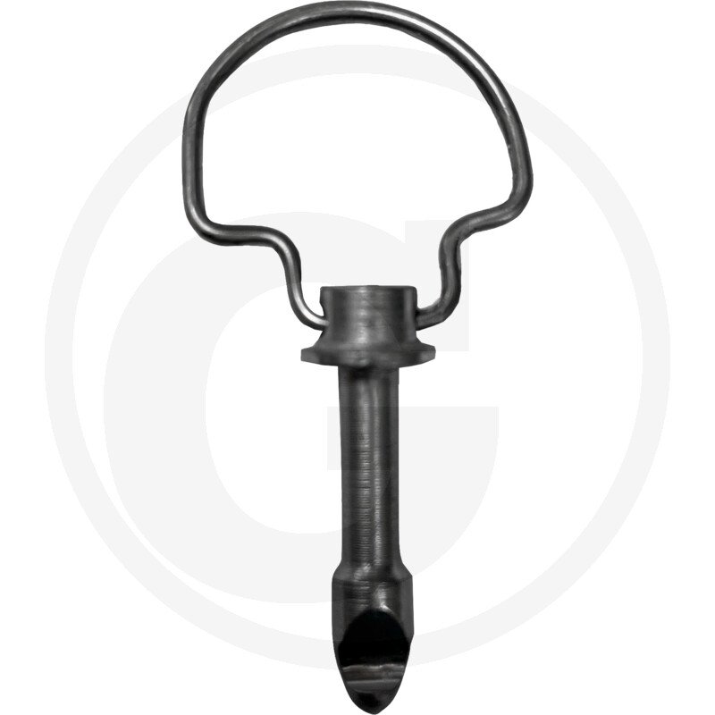 Sworzeń G178500020060