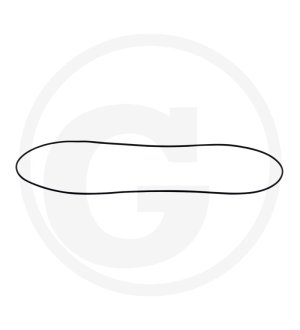 Pierścień uszczelniający pochwy 1860 838 M1