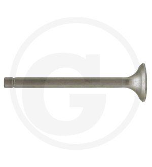 Zawór wydechowy 6901 0554