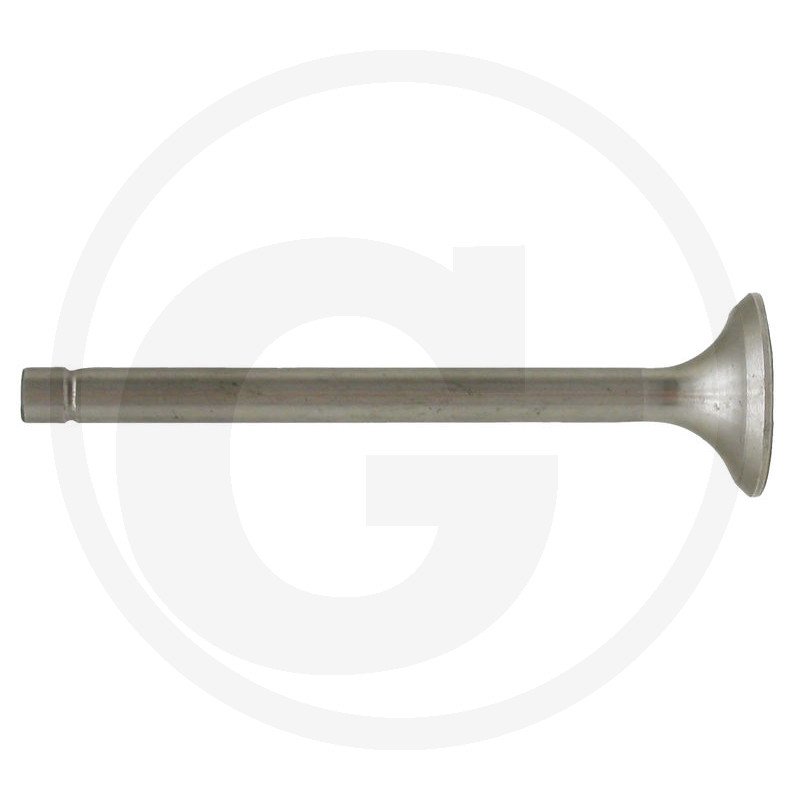 Zawór wydechowy 6901 0554