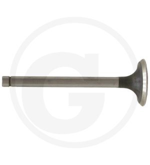 Zawór ssący 6901 0555