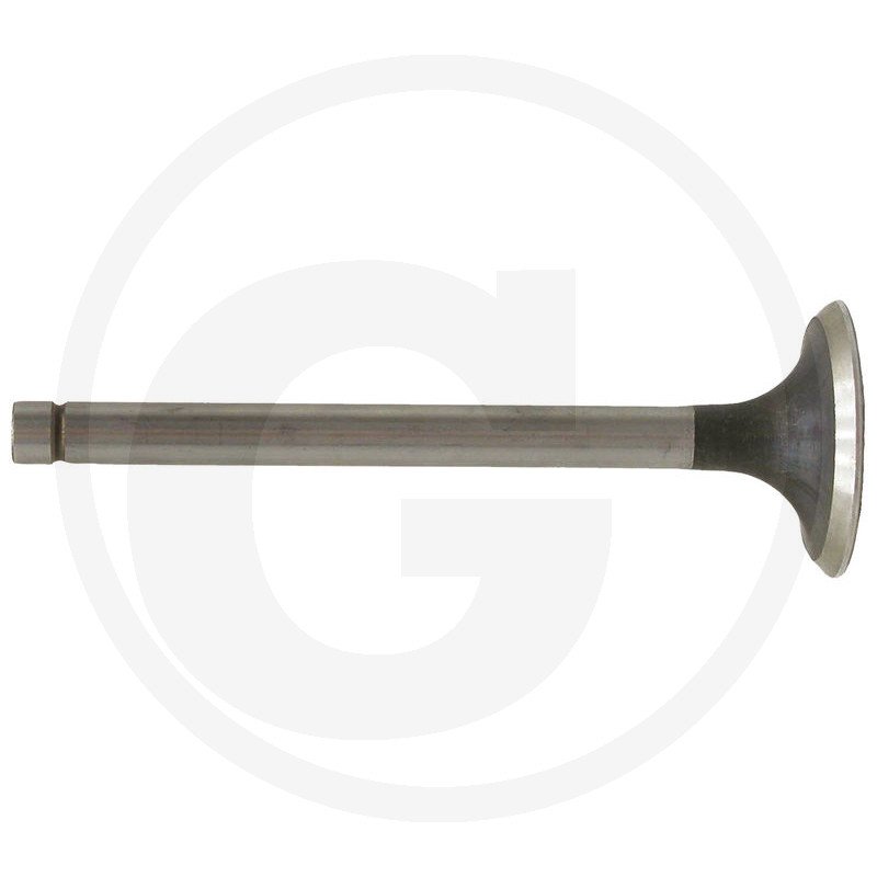 Zawór ssący 6901 0555