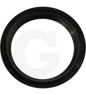 Pierścień uszczelniający wałka sprzęgłowego 46.41.963.0