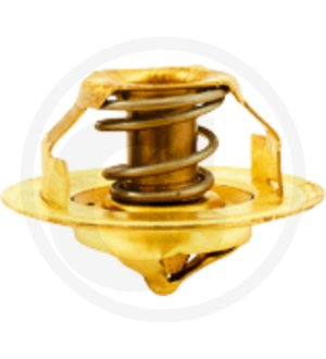 Termostat 2485 C 021