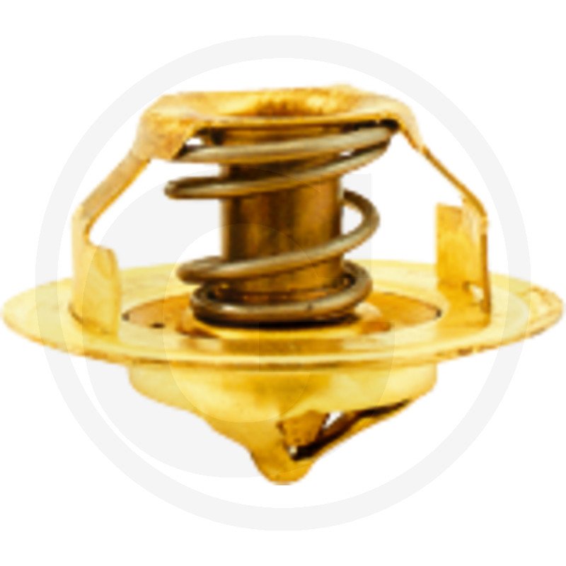 Termostat 2485 C 021