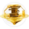 Termostat 2485 C 021