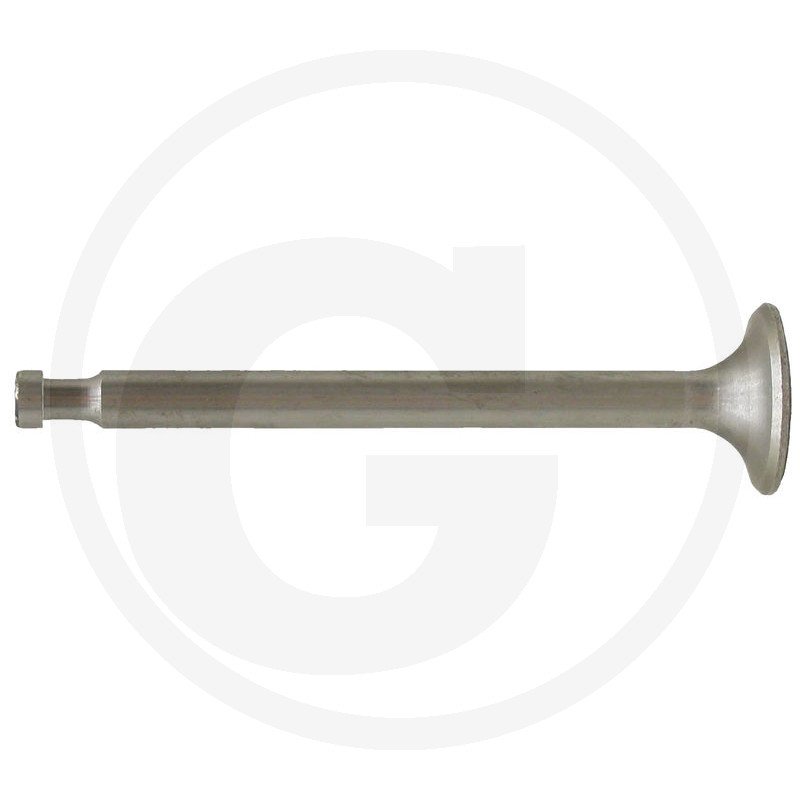 Zawór wydechowy 50.50.506.0 / 50505060