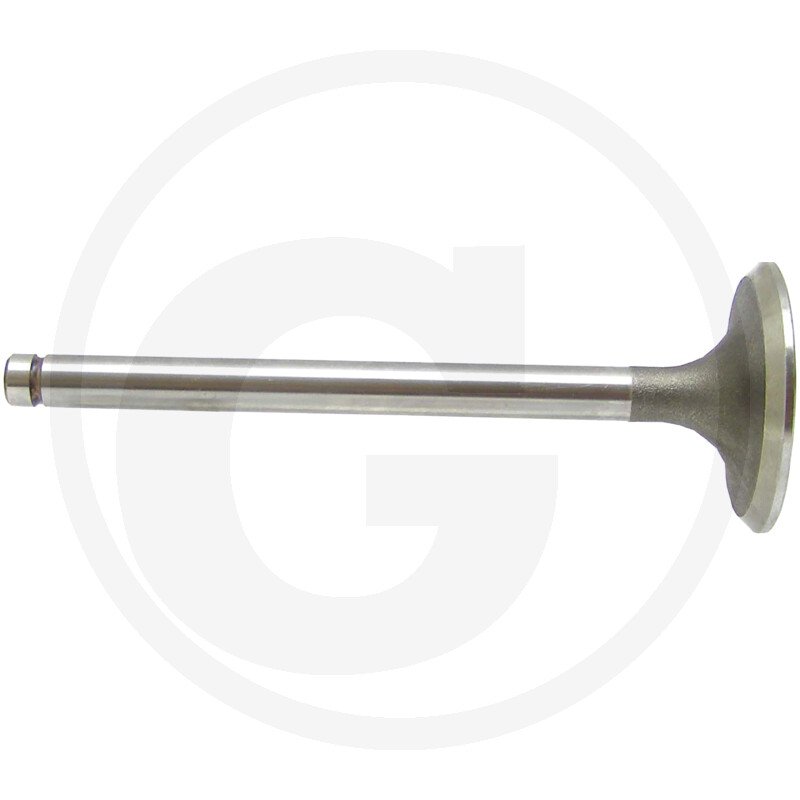 Zawór ssący 80005014