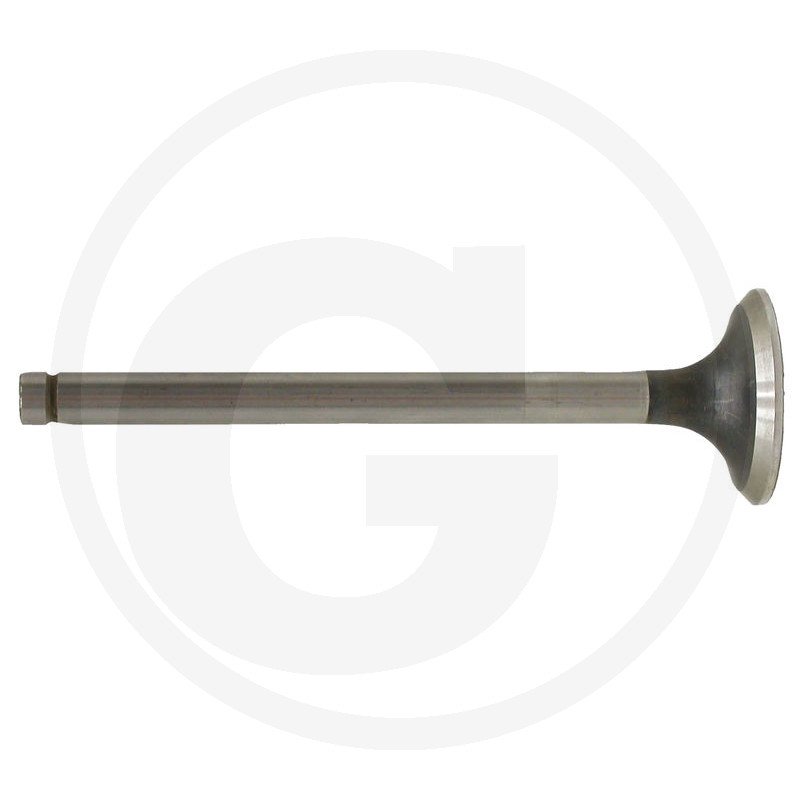 Zawór wydechowy 80005015