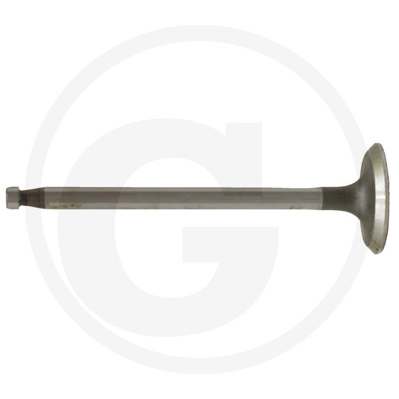 Zawór ssący 50.50.505.0 / 50505050