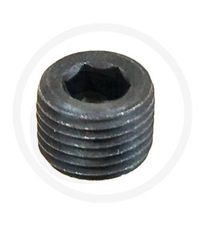 Wkręt kanału olejowego wału korbowego 50.00.559.0 / 50005590