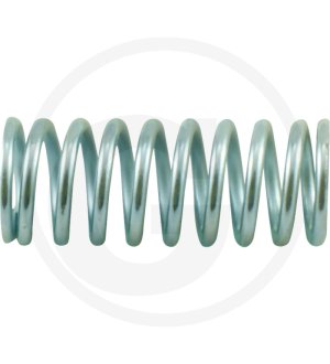 Sprężyna docisku sprzęgła 80021088