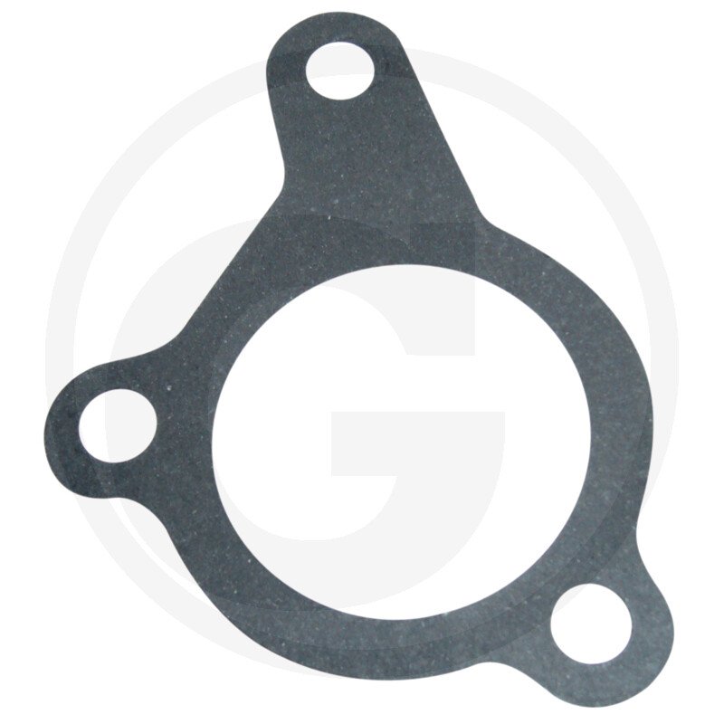 Uszczelka wlewu oleju 80002064