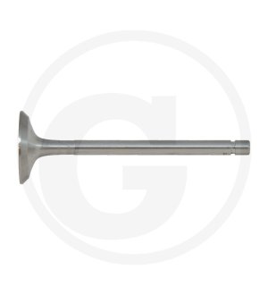 Zawór ssący A0509004