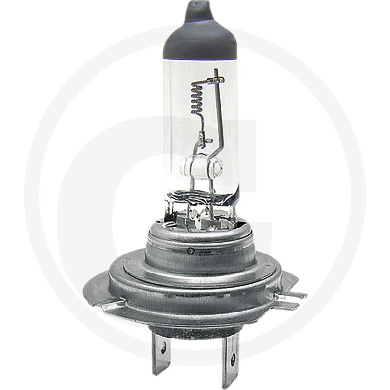 Żarówka halogenowa H7 H7 PX 26D