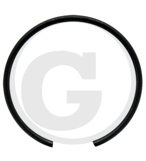 Pierścień rozprężny 1168638