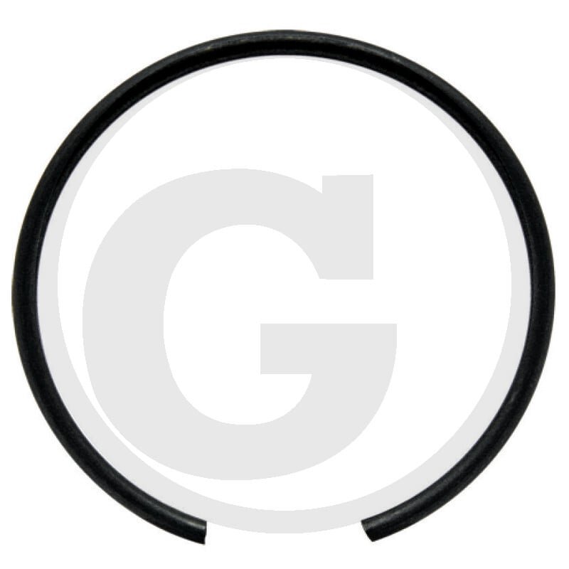 Pierścień rozprężny 1168638