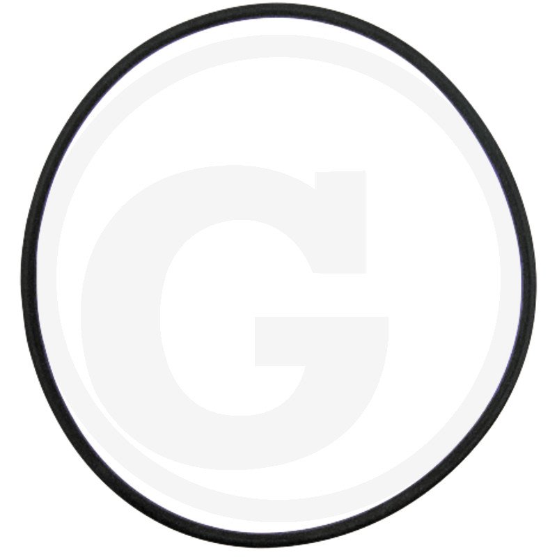 Oring 3220166R2, I3220166R2