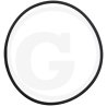 Oring 3220166R2, I3220166R2