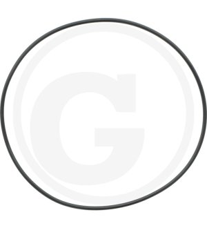 Oring 3220167R2, I3220167R2