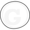 Oring 3220167R2, I3220167R2