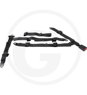 5-Punkt Sicherheitsgurt