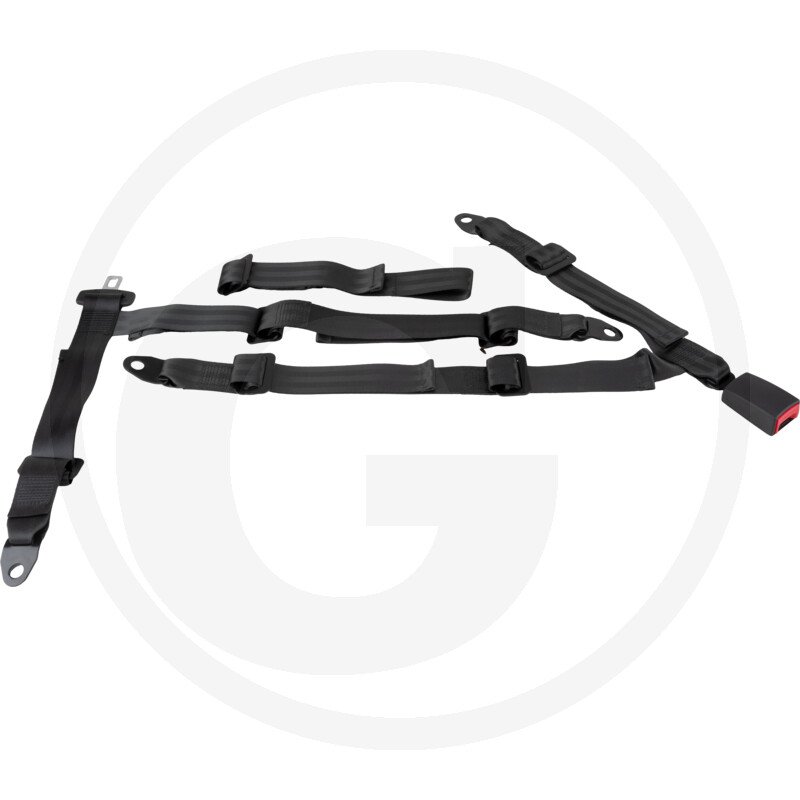 5-Punkt Sicherheitsgurt