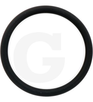 Oring prawo X548933866000