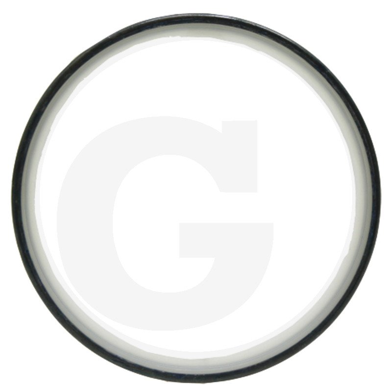Pierścień uszczelniający R117817