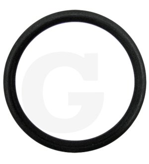 Pierścień uszczelniający 195565M1