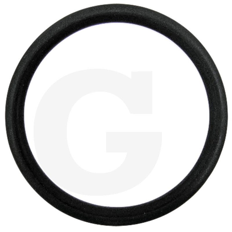 Pierścień uszczelniający 195565M1