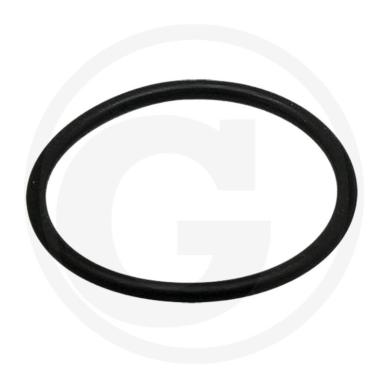 Oring 3147943R1, I3147943R1