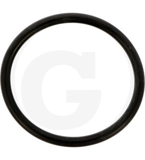 Oring T19687