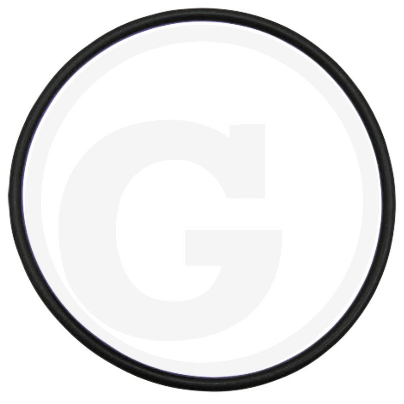 Oring X548977501000