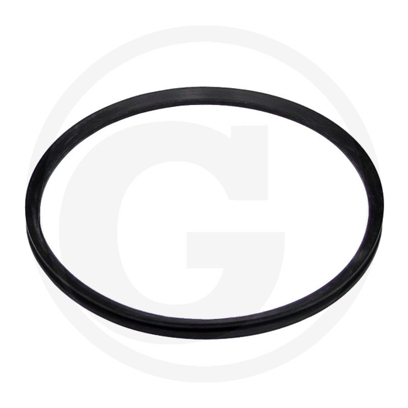 Pierścień uszczelniający 3801051M1